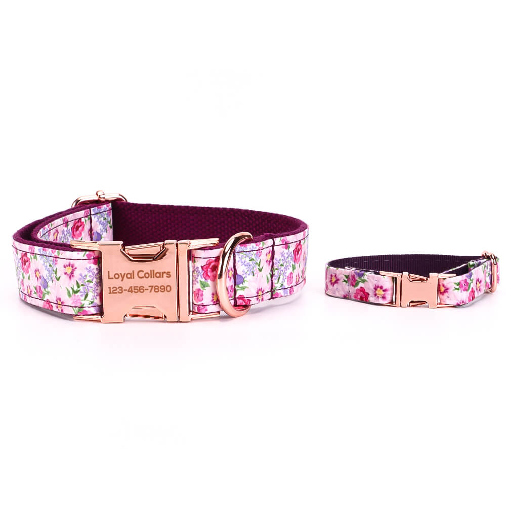 Matching dog and owner collars hotsell