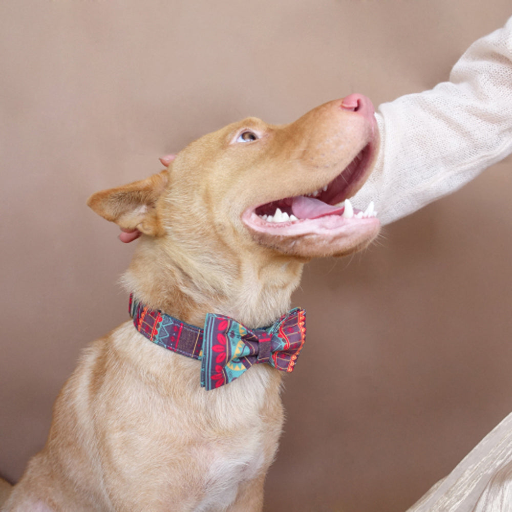 Custom Maya Patterns Dog Collar Bow Tie Set