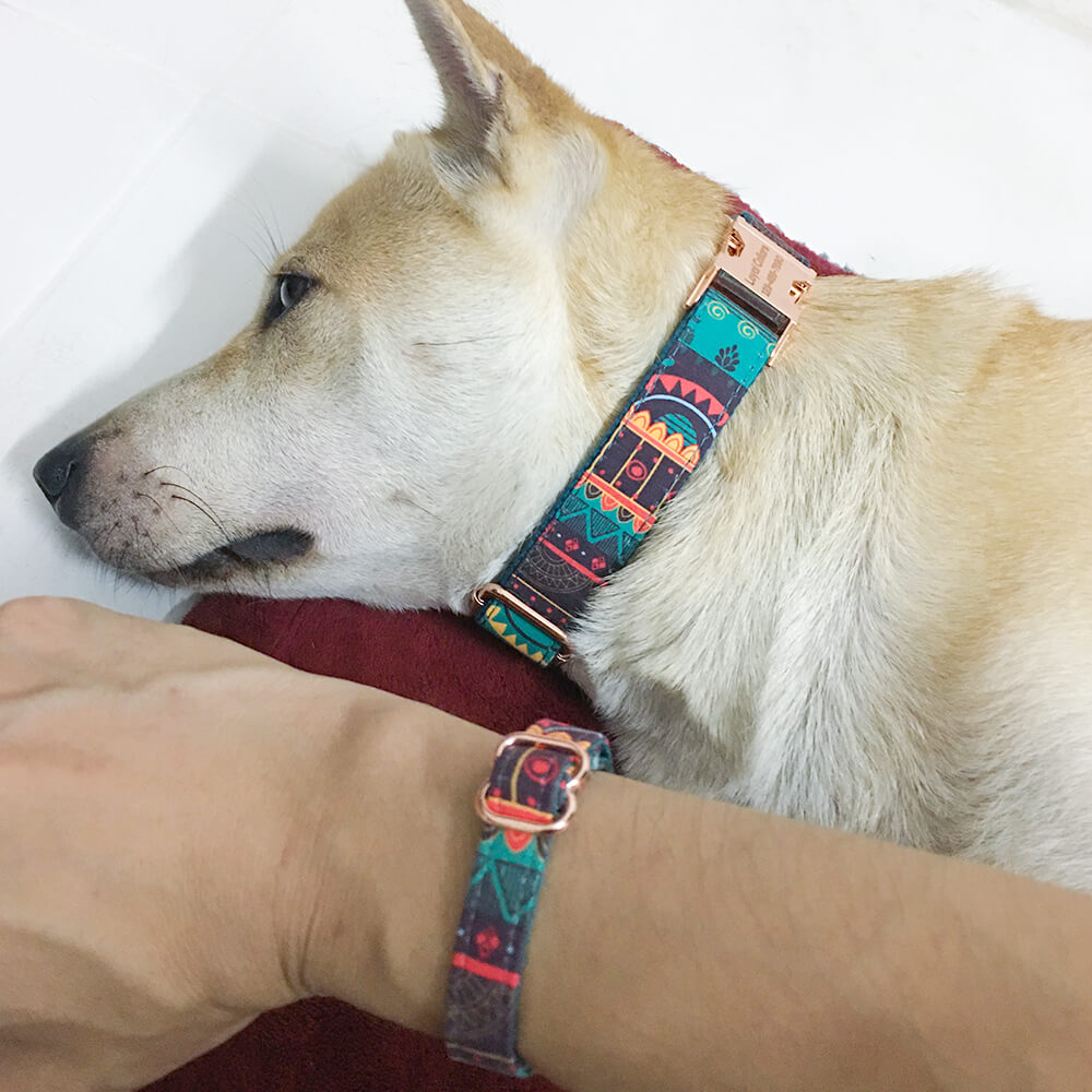 Dog collar with store bracelet