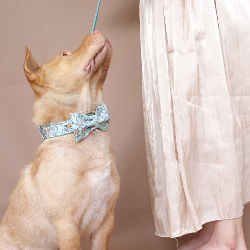 Custom Blue Flower Dog Collar Bow Tie Set