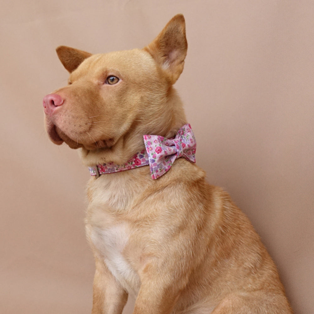 Custom Pink Flower Dog Collar Bow Tie Set