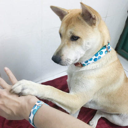 Matching Bubble Dog Collar And Bracelet Set