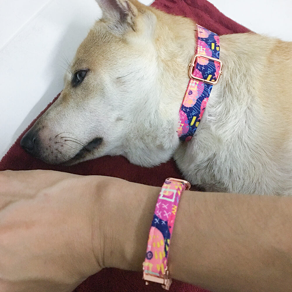 Matching pink Graffiti Dog Collar And Bracelet Set