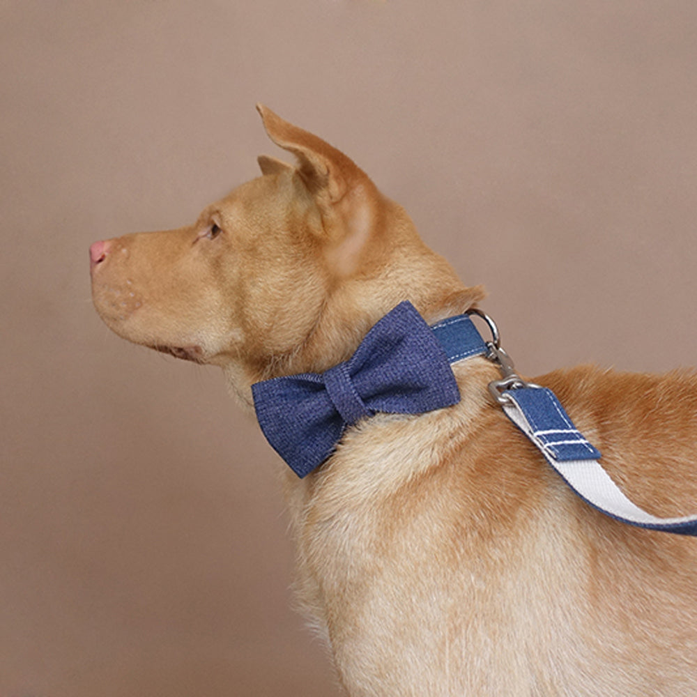 Custom White Denim Dog Collar Bow Tie Set