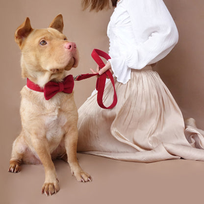 Custom Cherry Dog Collar Bow Tie Set