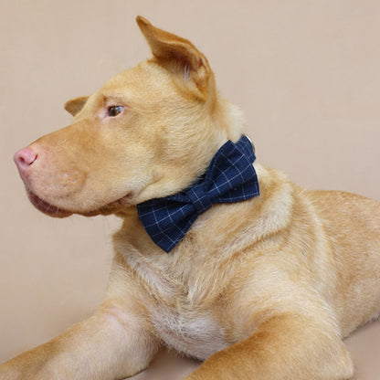 Custom Deep Blue Plaid Dog Collar Bow Tie Set