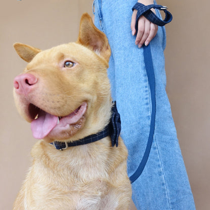 Custom Deep Blue Plaid Dog Collar Set