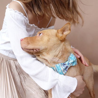 Custom Folk Blue Dog Collar Bow Tie Set