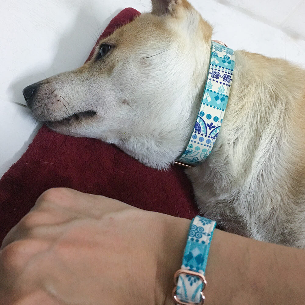 Matching Folk Blue Dog Collar And Bracelet Set