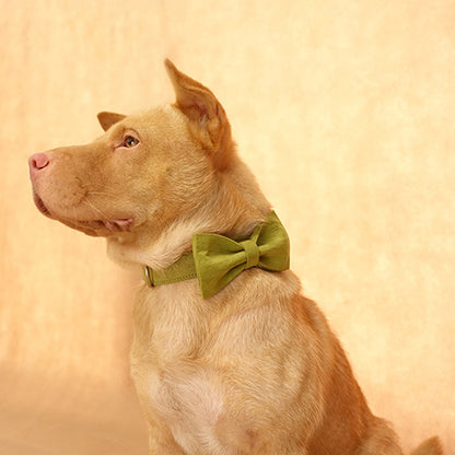 Custom Candy Green Dog Collar Bow Tie Set