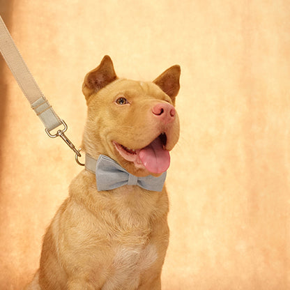 Custom Light Denim Dog Collar Bow Tie Set