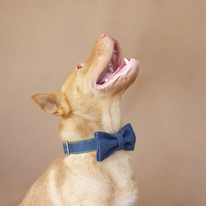 Custom Yellow Denim Dog Collar Bow Tie Set