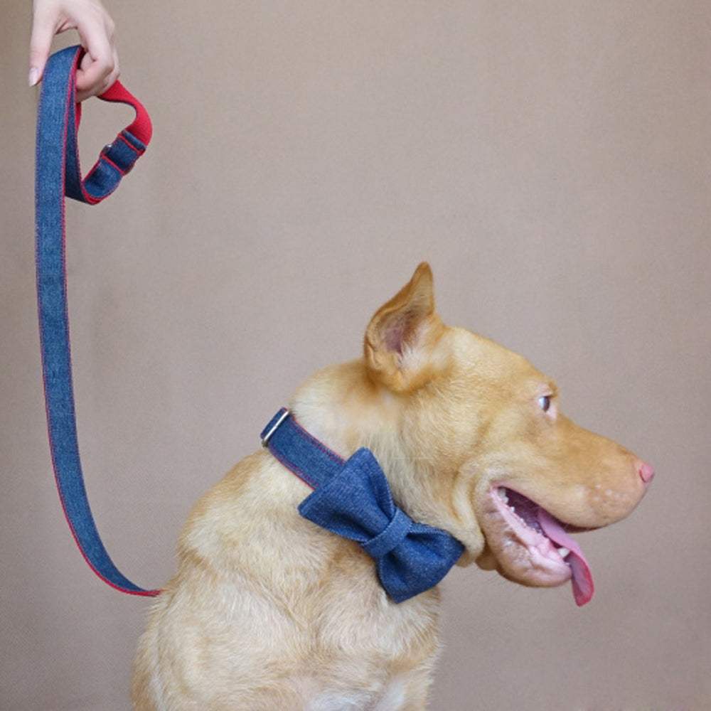 Custom Red Denim Dog Collar Set