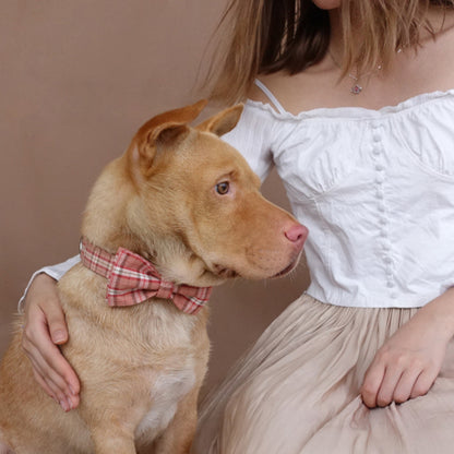 Custom Orange Plaid Dog Collar Bow Tie Set