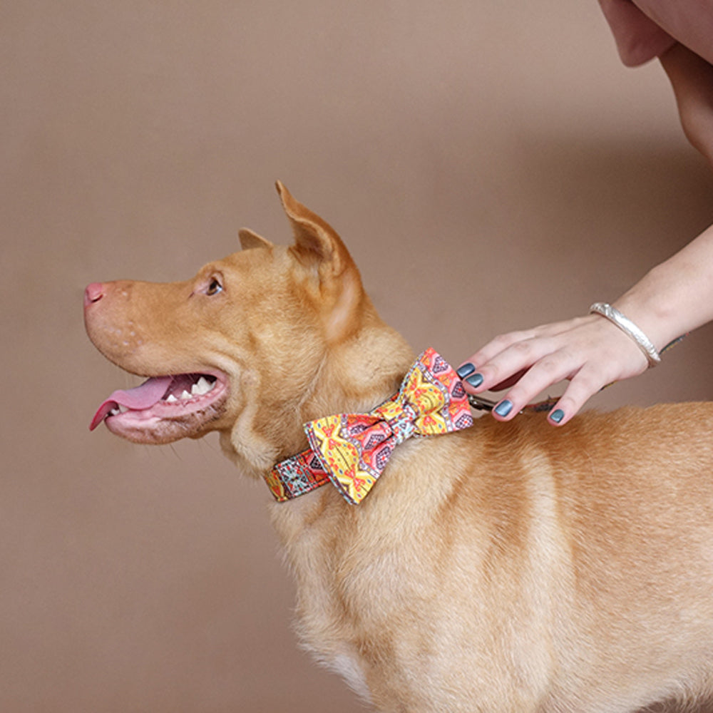 Custom Gray Bohemian Dog Collar Bow Tie Set