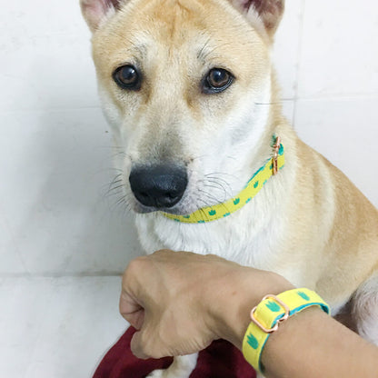 Matching Dinosaur Dog Collar And Bracelet Set