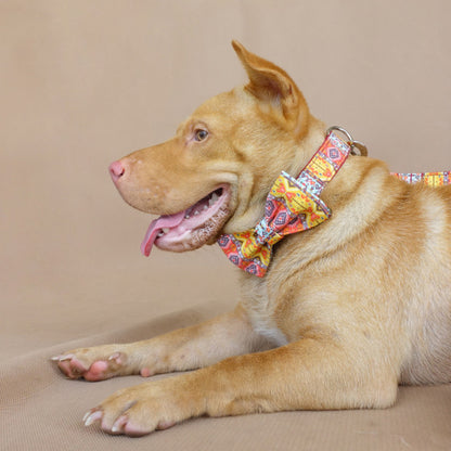 Custom Red Bohemian Dog Collar Bow Tie Set