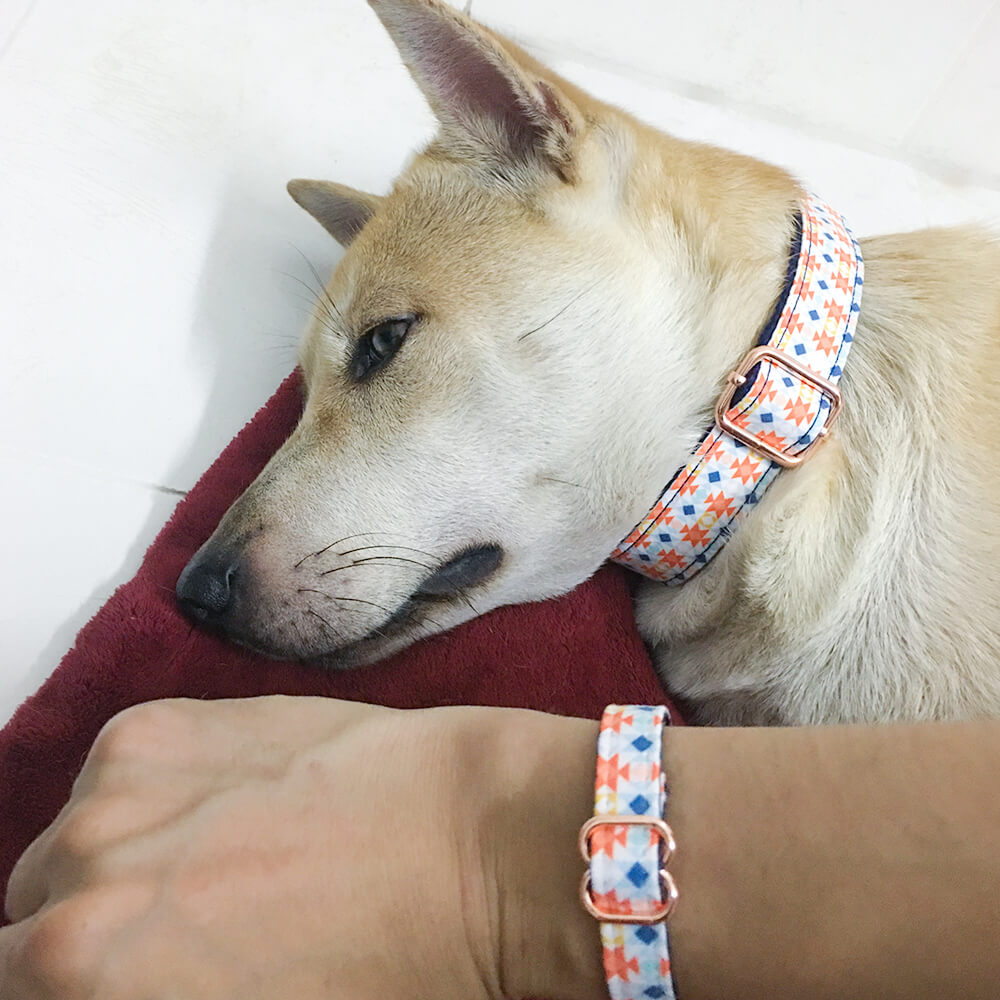 Matching Lantern Dog Collar And Bracelet Set