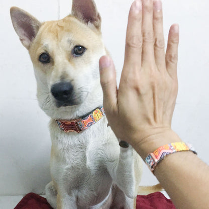 Matching Blue Bohemian Dog Collar And Bracelet Set