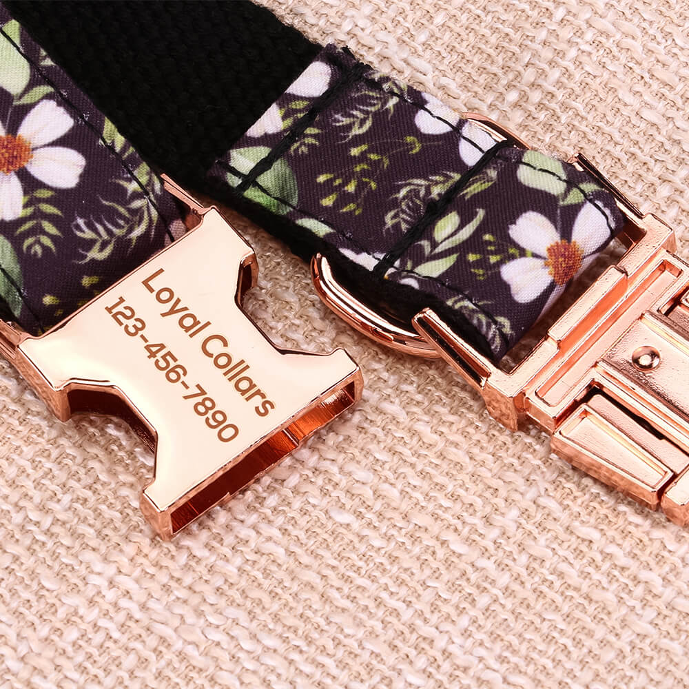 Matching Black Daisy Dog Collar And Bracelet Set