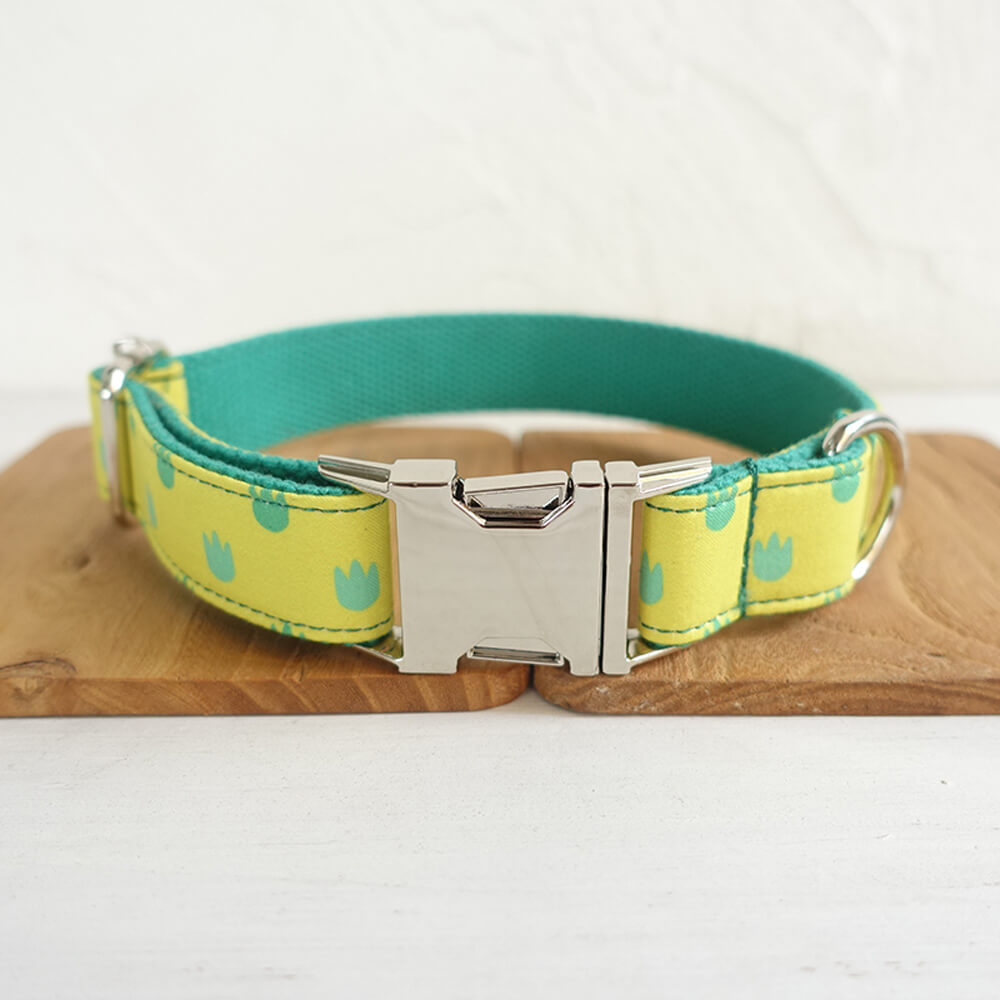 Custom Dinosaur Footprints Dog Collar