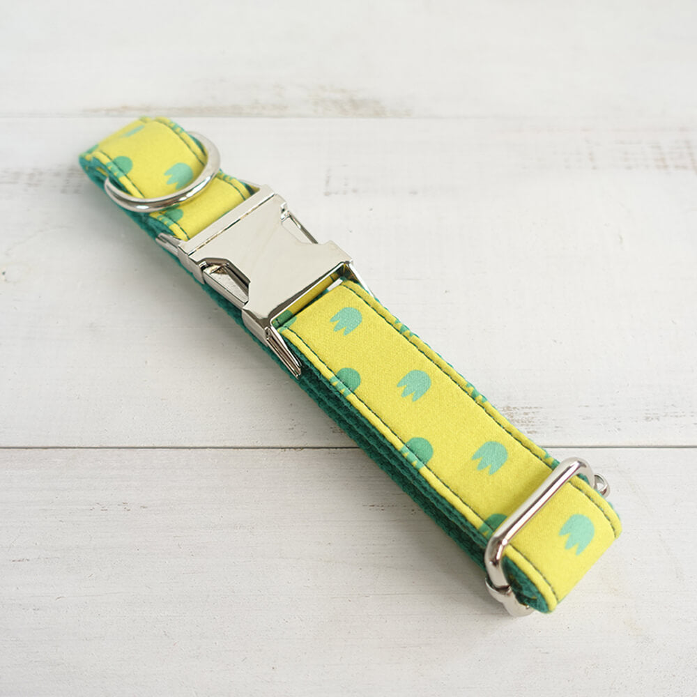 Custom Dinosaur Footprints Dog Collar