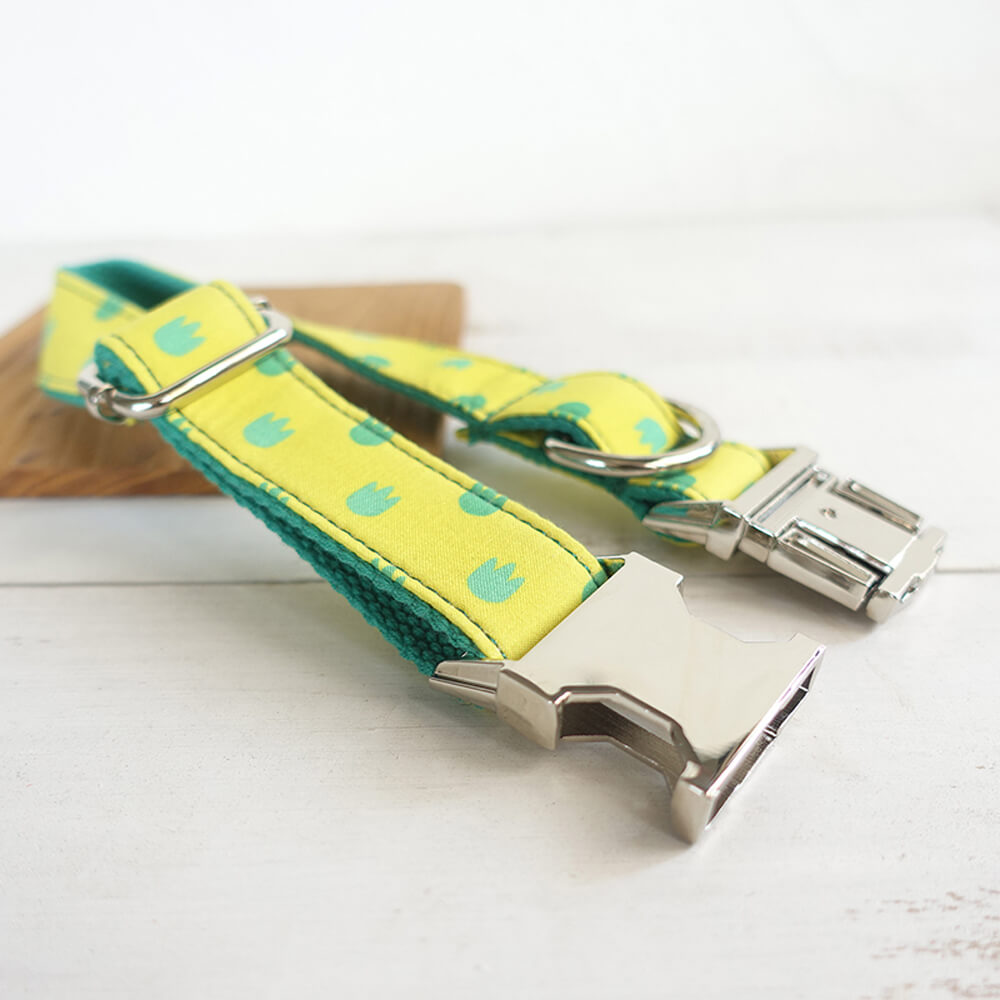 Custom Dinosaur Footprints Dog Collar