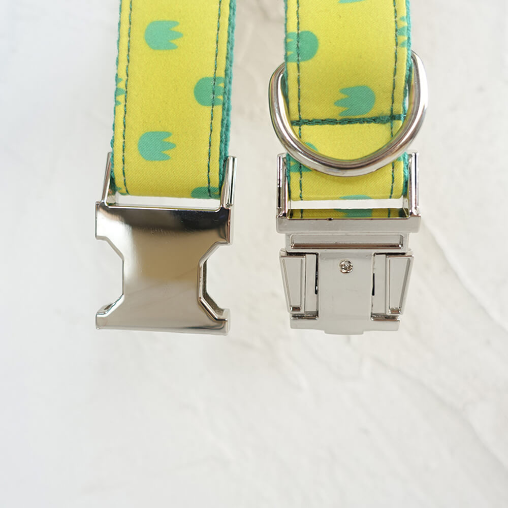 Custom Dinosaur Footprints Dog Collar