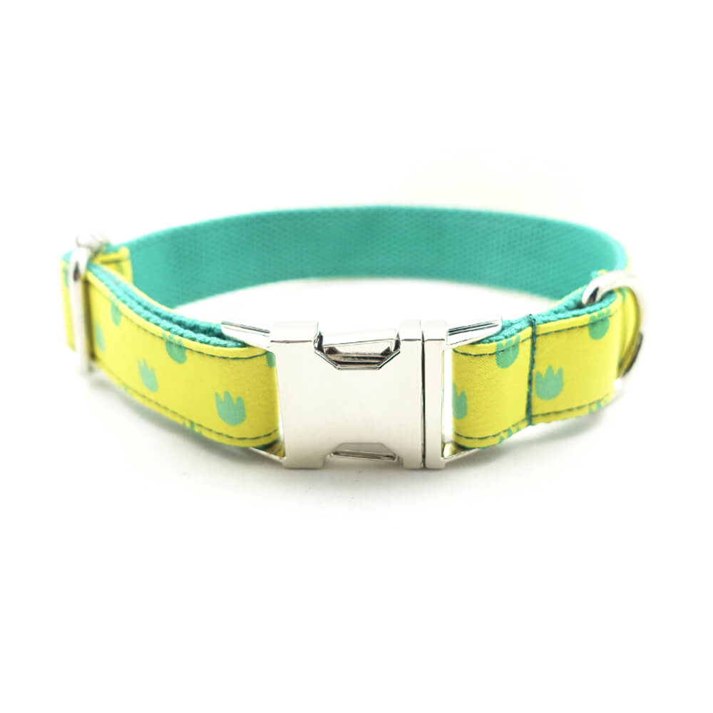 Custom Dinosaur Footprints Dog Collar