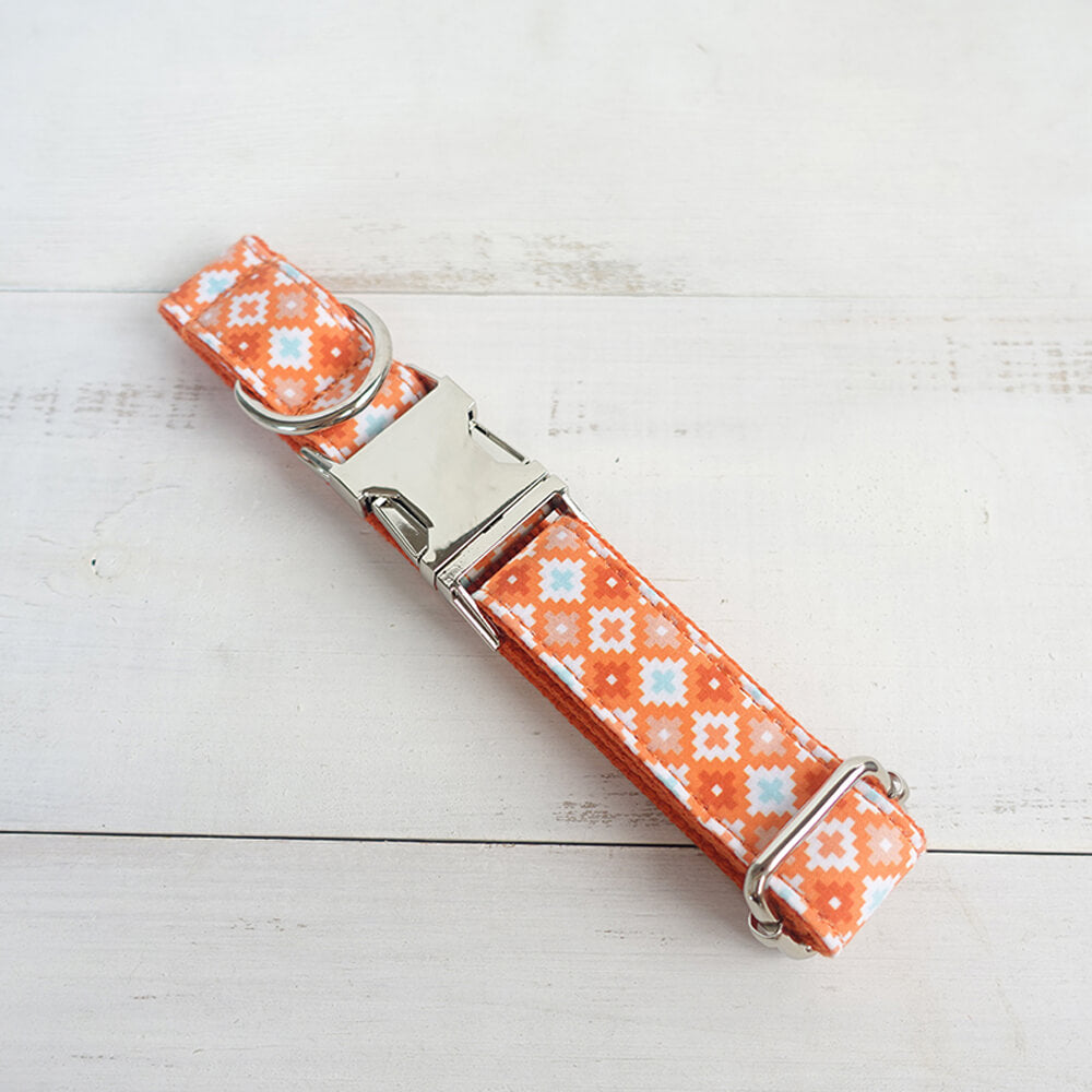 Custom Biscuit Printed Dog Collar