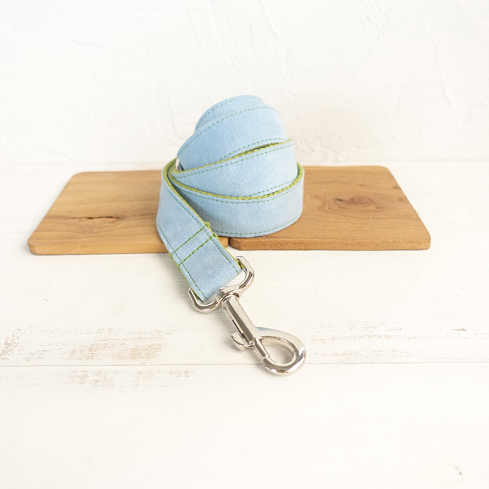 Custom Blue Cover Green Dog Collar And Leash Set