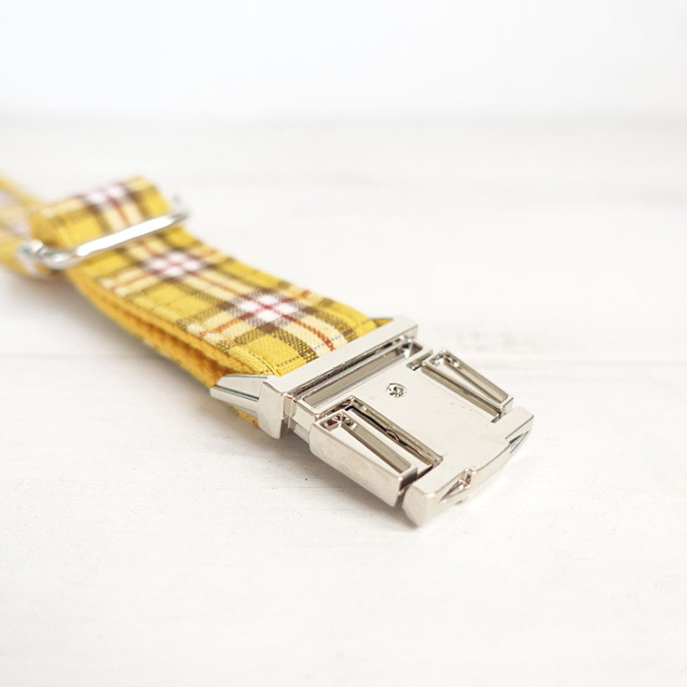 Custom Lemon Yellow Dog Collar