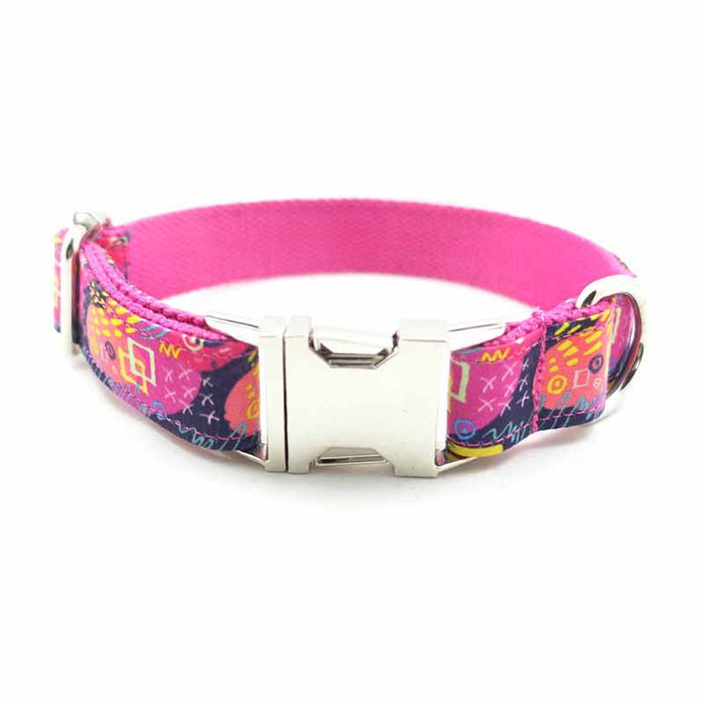 Custom Graffiti Dog Collar And Lease Set