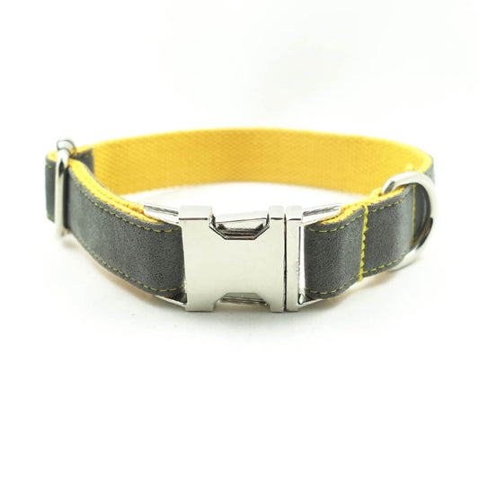 Custom Gray Cover Yellow Dog Collar