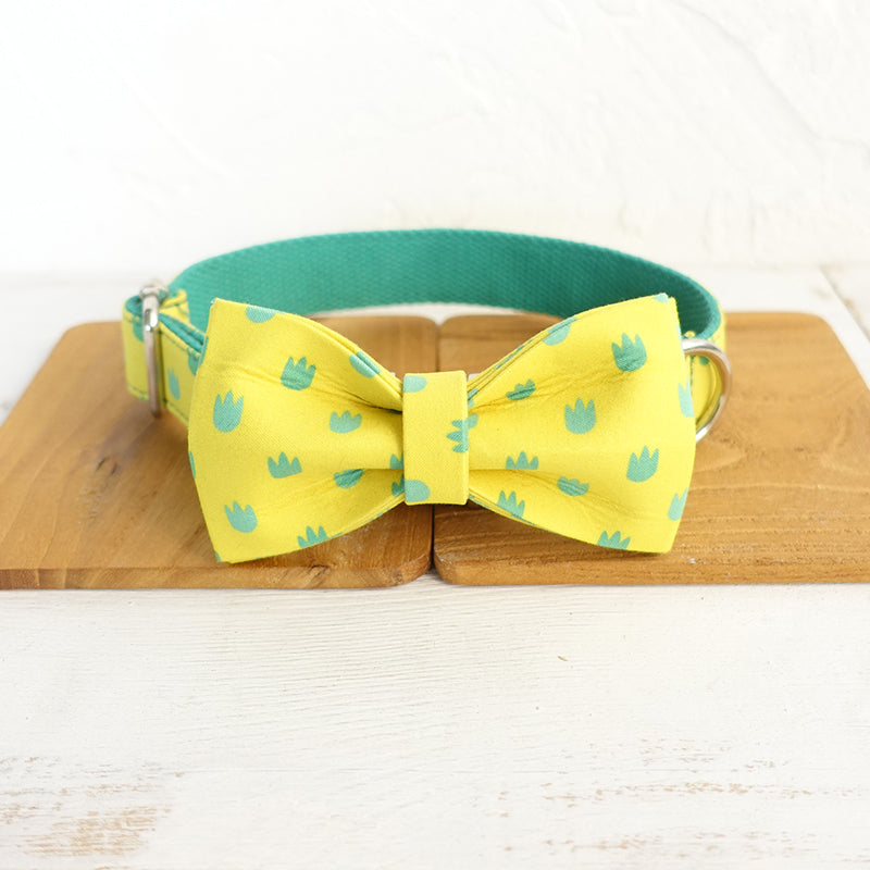 Custom Dinosaur Footprints Dog Collar Bow Tie Set