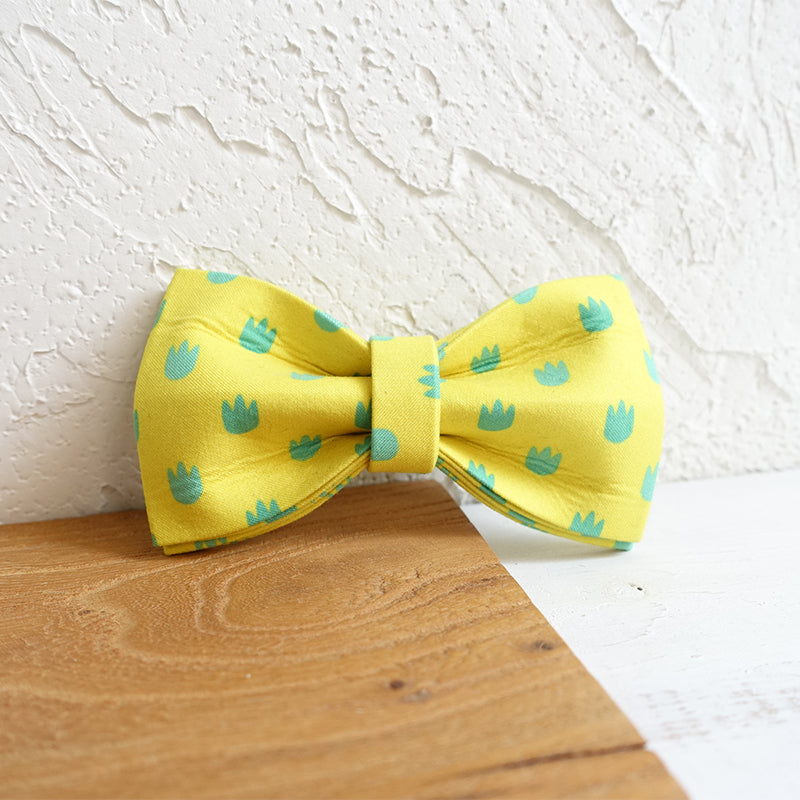 Custom Dinosaur Footprints Dog Collar Bow Tie Set