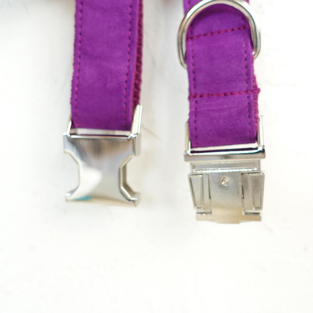 Custom Candy Purple Dog Collar