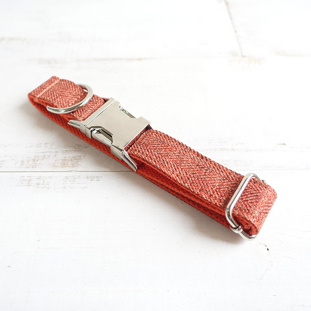 Custom Orange Suit Dog Collar