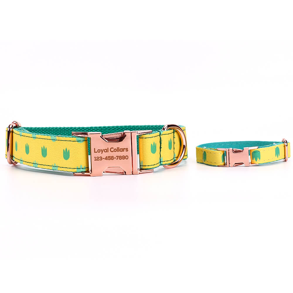 Matching Dinosaur Dog Collar And Bracelet Set