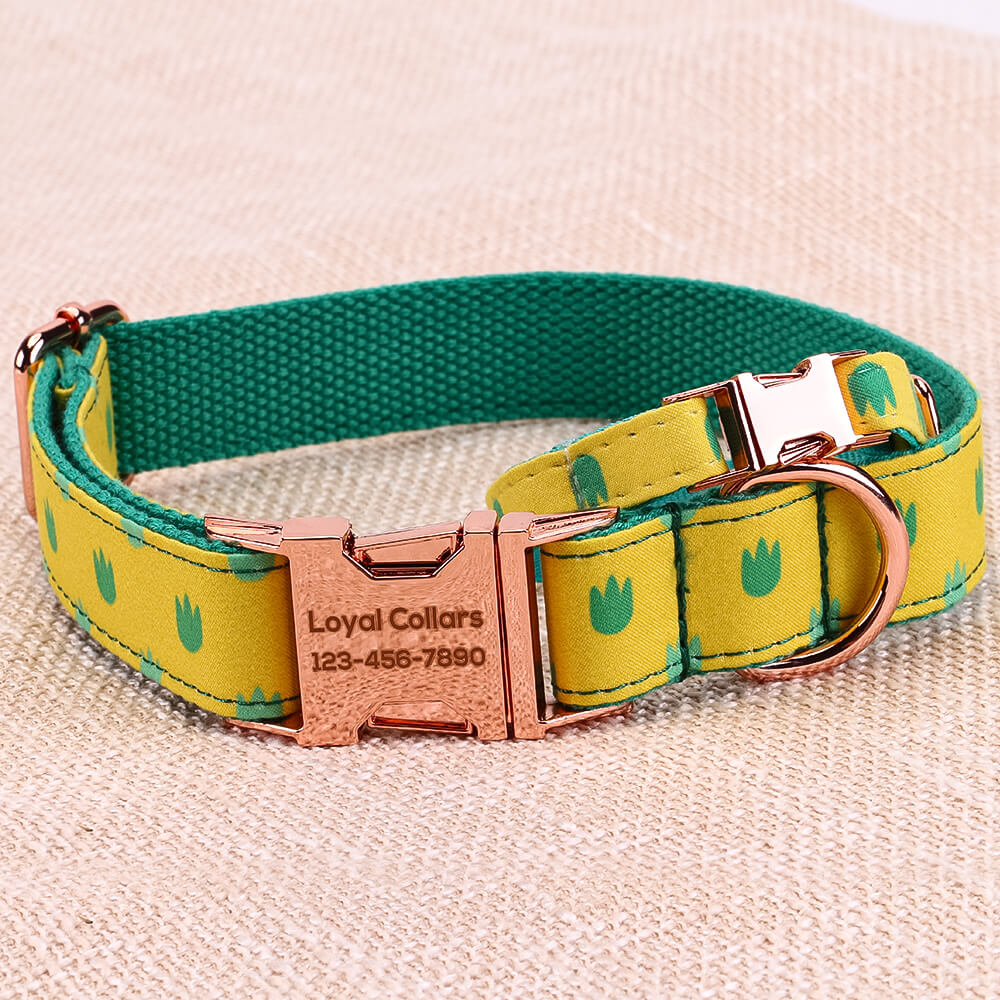 Matching Dinosaur Dog Collar And Bracelet Set