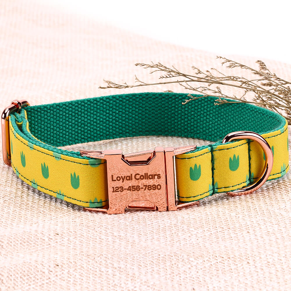 Matching Dinosaur Dog Collar And Bracelet Set