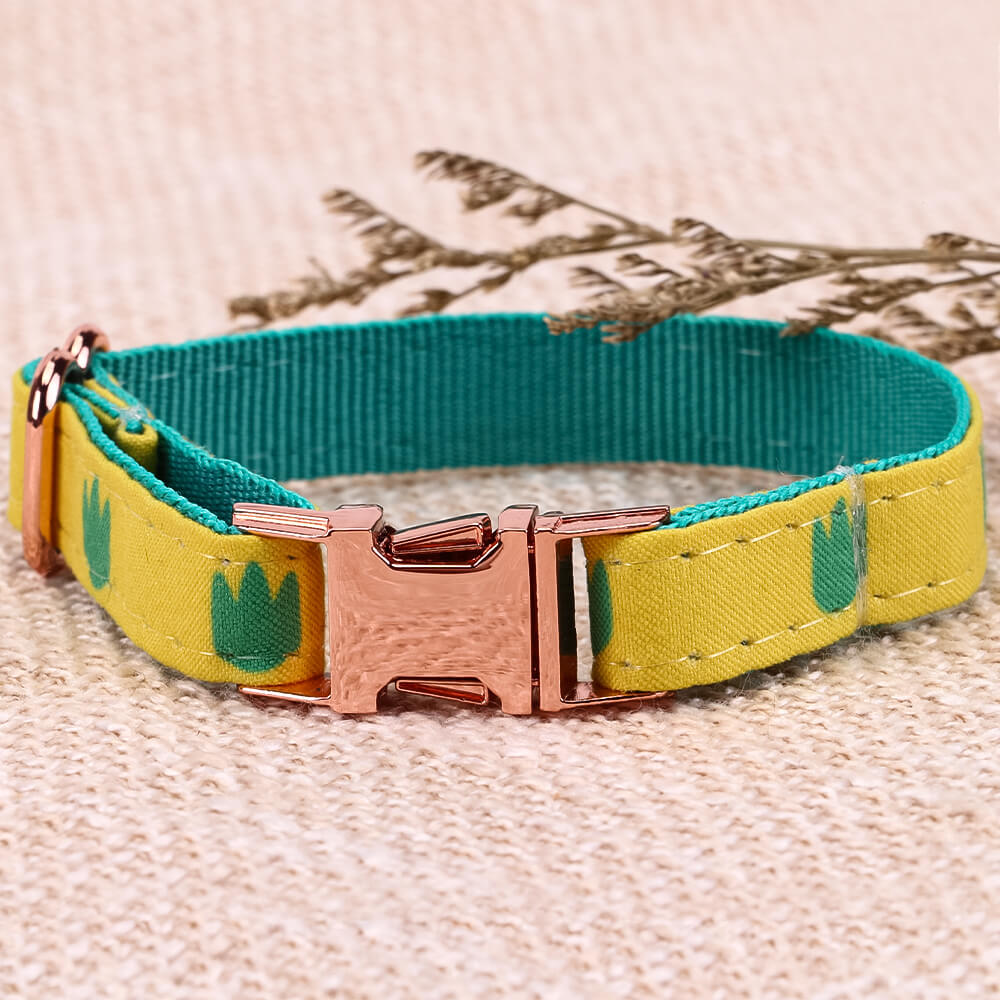 Matching Dinosaur Dog Collar And Bracelet Set