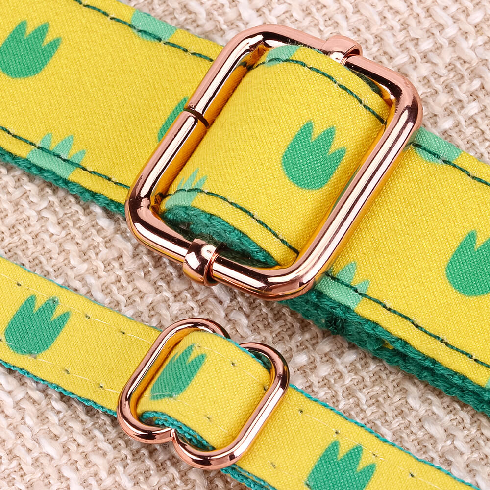 Matching Dinosaur Dog Collar And Bracelet Set