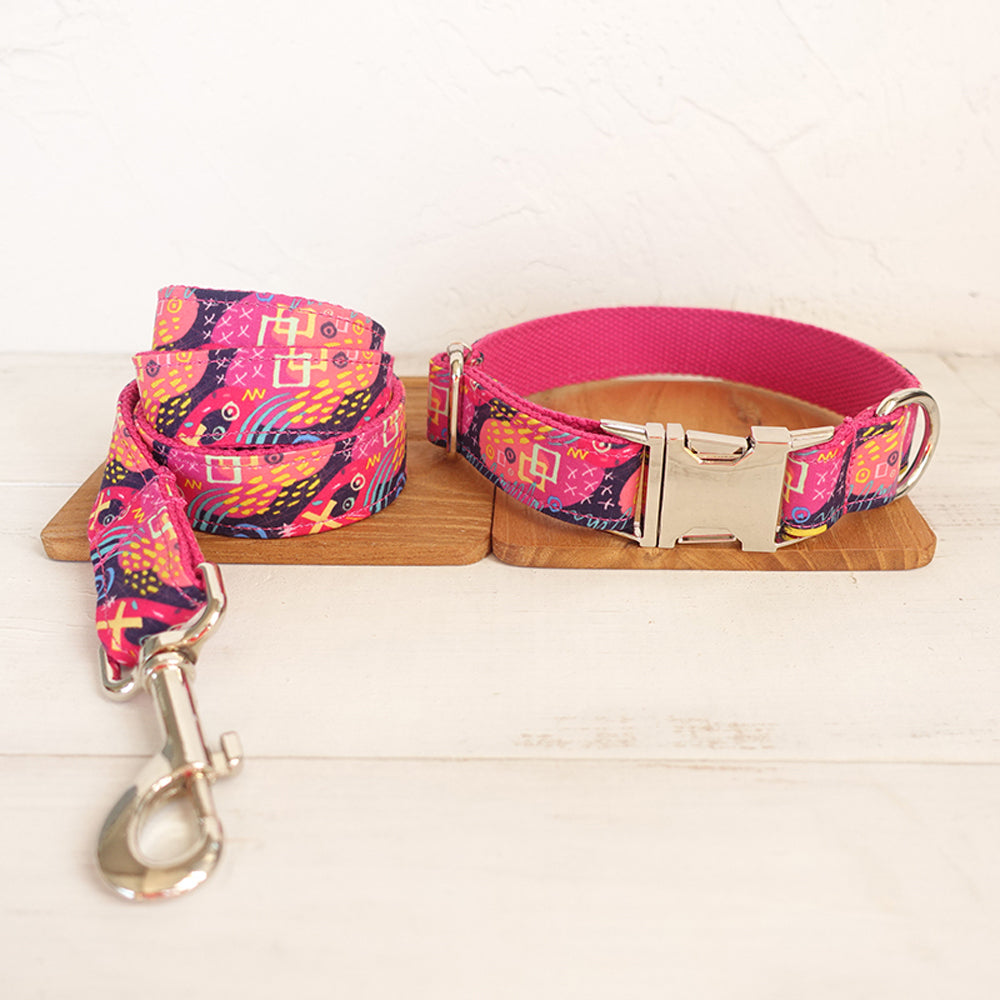 Custom Graffiti Dog Collar And Lease Set