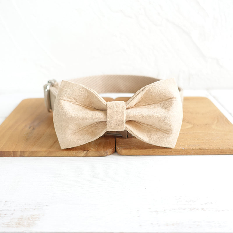 Custom Lady Dog Collar Bow Tie Set