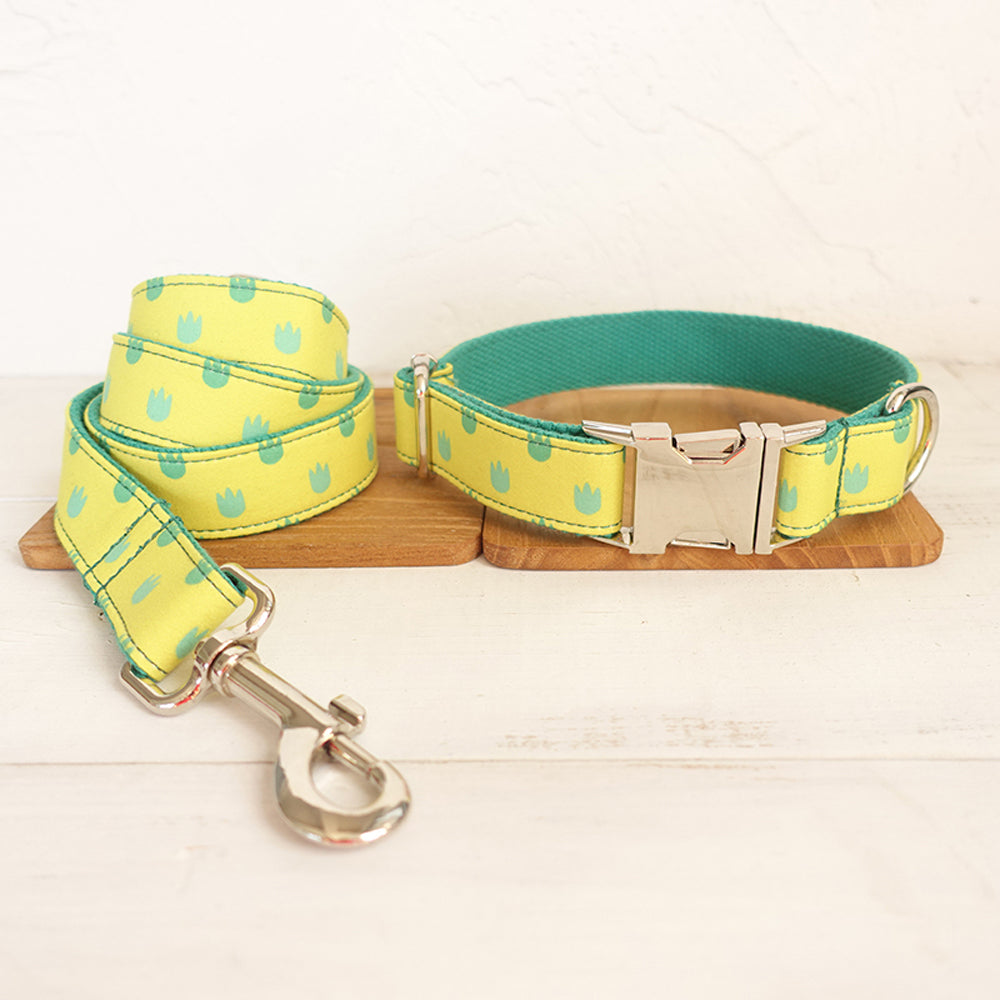 Custom Dinosaur Footprints Dog Collar